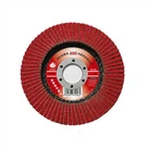 Flap Disk